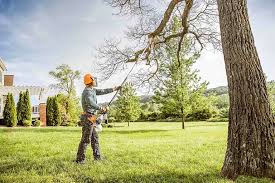 Best Lawn Watering Services  in Greensburg, KY