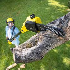 Greensburg, KY Tree Services Company